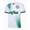 Maglia ufficiale Palmeiras 2023-24 Trasferta per Uomo